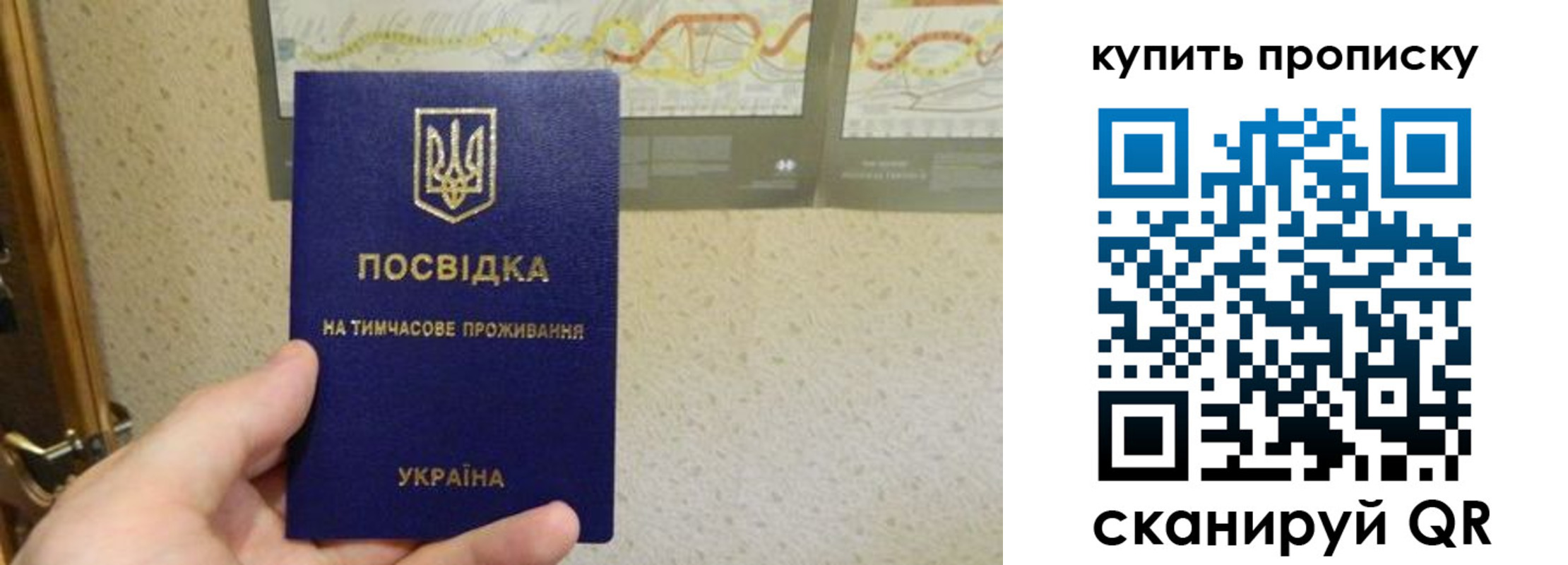 временная регистрация поиск в Райчихинске